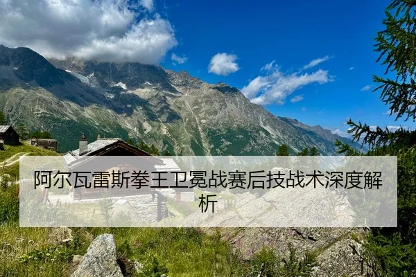 阿尔瓦雷斯拳王卫冕战赛后技战术深度解析